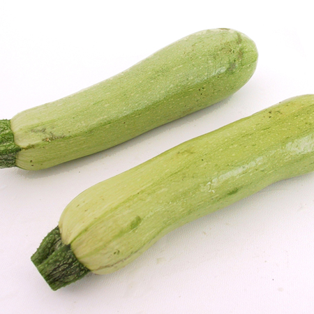 Marrow Segev, Squash Seeds - Packet image number null