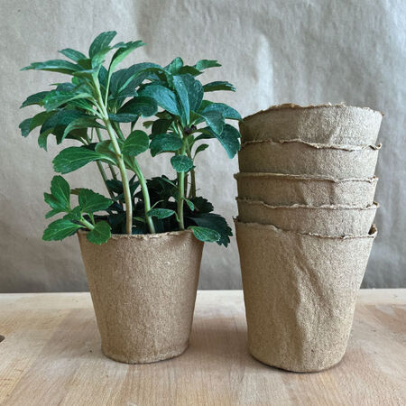 4 1/3" Round Fertilpot image number null