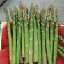 Jersey Giant, Asparagus Roots - 10 Crowns thumbnail number null