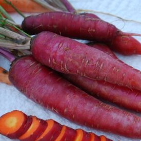 Dragon, Carrot Seeds