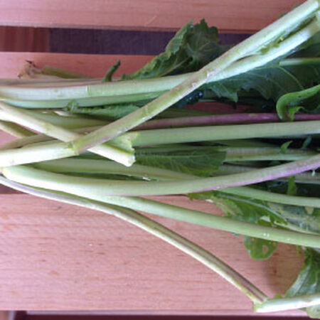 Astro Arugula, Green Seeds - Packet image number null