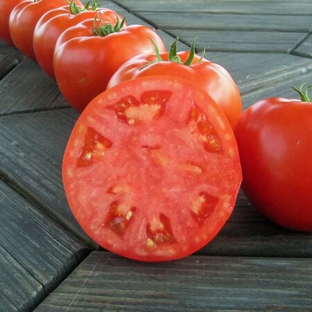 Mountain Merit, (F1) Tomato Seeds - Packet image number null