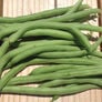 Blue Lake 274 Bush, Bean Seeds - 1 Pound thumbnail number null
