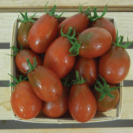 Black Plum, Tomato Seeds - Packet image number null