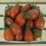 Black Plum, Tomato Seeds - Packet thumbnail number null
