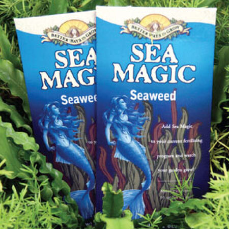 Sea Magic Fertilizer, Fertilizers - 1 Ounce image number null