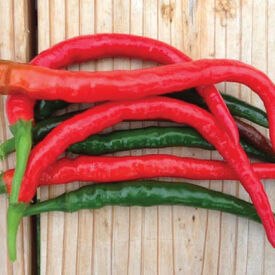 Red Hot Chili Pepper Blend – EtiennesBlends