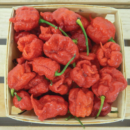 Carolina Reaper, Pepper Seeds - Packet image number null