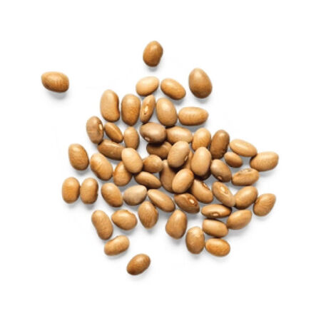 Bayo, Bean Seeds - 1 Pound image number null