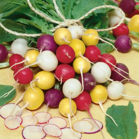 Crayon Colors Mix, Radish Seeds