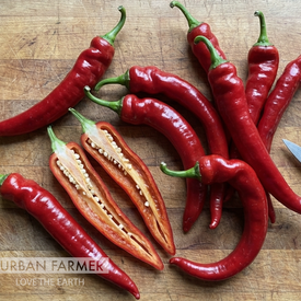 Jimmy Nardello, Pepper Seeds