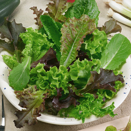 Spicy Salad Blend, Lettuce Seeds - Packet image number null