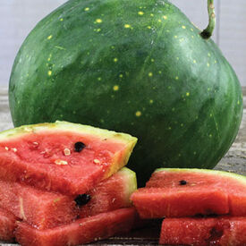 Moon and Stars, Watermelon Seeds