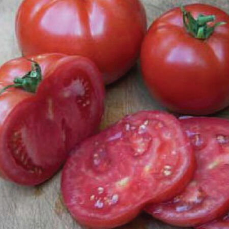 Big Beef, Tomato Seeds - 1,000 Seeds image number null