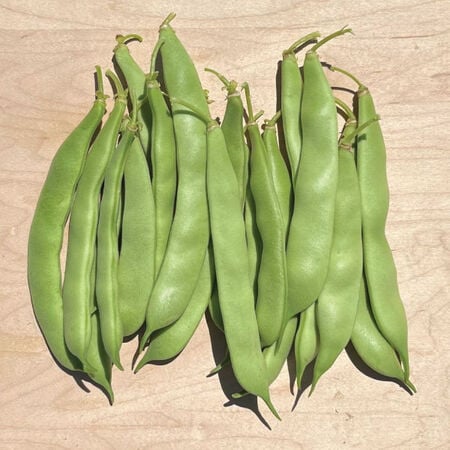 Taylor Dwarf Horticultural, Bean Seeds - Packet (1 oz.) image number null