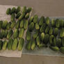 Homemade Pickles, Cucumber Seeds - Packet thumbnail number null