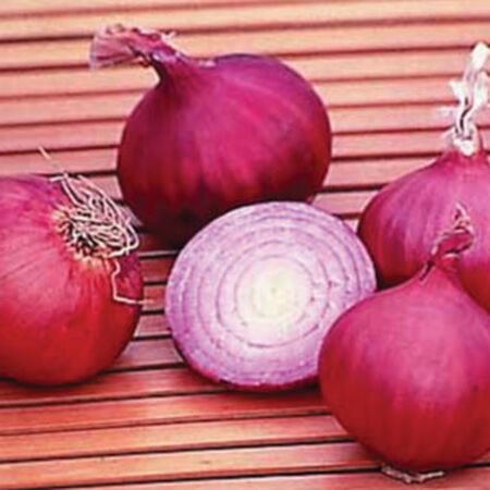 Red Creole, Onion Seeds - Packet image number null