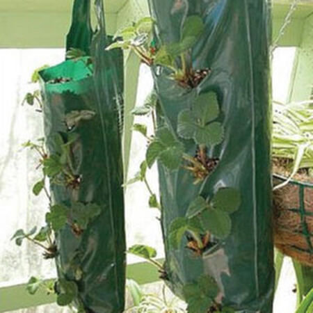 Hanging Grow Bags - 5 Hole, Containers - 1 Bag image number null