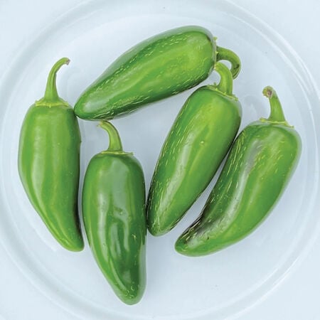 Jalapeno M, Pepper Seeds - Packet image number null