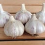 Italian Red, Garlic Bulbs - 1/4 Pound thumbnail number null