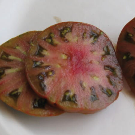 Paul Robeson, Tomato Seeds - Packet image number null
