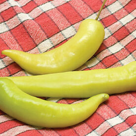 Hungarian Sweet Wax, Pepper Seeds