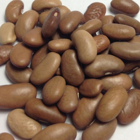 Kentucky Wonder, Bean Seeds image number null