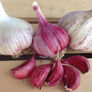 Spanish Roja, Garlic - 1/4 Pound thumbnail number null