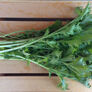 Mizuna Green Mustard Seed, Greens - Packet thumbnail number null