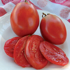 Amish Paste, Tomato Seeds