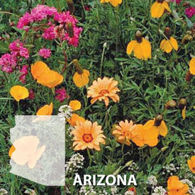 Arizona Blend, Wildflower Seed