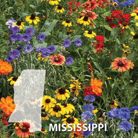 Mississippi Blend, Wildflower Seed