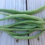 Greencrop, Bean Seeds - Packet (1 oz.) thumbnail number null