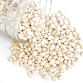 Elite, Cowpea Seeds