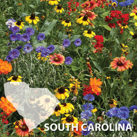 South Carolina Blend, Wildflower Seed