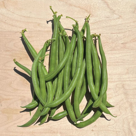 Jade, Bean Seeds - Packet image number null