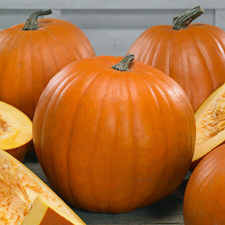 Young's Beauty, Pumpkin Seeds - Packet image number null