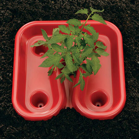 Red Tomato Trays,  Tomato Helpers - 12 Tomato Trays image number null