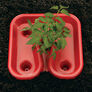 Red Tomato Trays,  Tomato Helpers - 12 Tomato Trays thumbnail number null