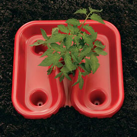 Red Tomato Trays,  Tomato Helpers