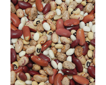 Soup Blend, Bean Seeds