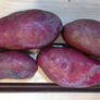 French Fingerling, Seed Potatoes - 5 Pounds thumbnail number null