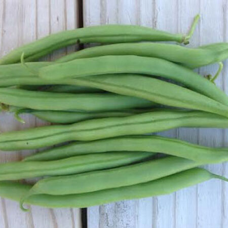 Slenderette, Bean Seeds - Packet (2 oz.) image number null