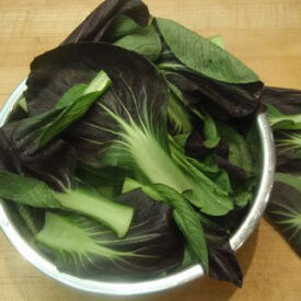 Red Choi, Pak Choi Cabbage