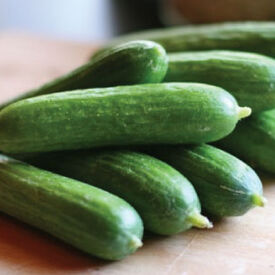 Green Finger, (F1) Cucumber Seeds