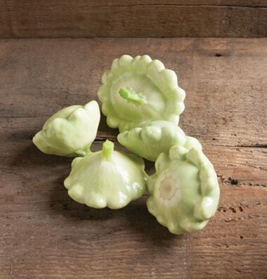 Urban Farmer Bennings Green Tint Scallop Squash Seeds
