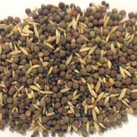 Spring Mix, Cover Crop Seed - 1 Pound image number null