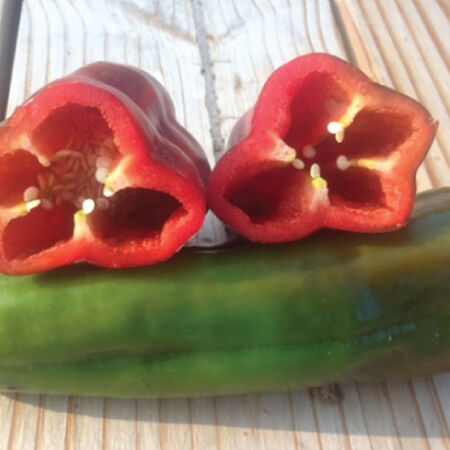 Marconi Red, Pepper Seeds - Packet image number null