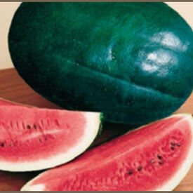 Black Diamond, Watermelon Seeds