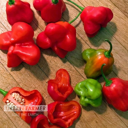 Mad Hatter, Pepper Seeds - Packet image number null